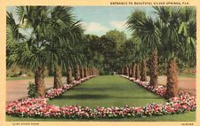 Postcard FL Entrance to Beautiful Silver Springs Florida Linen Vintage PC b7201 picture