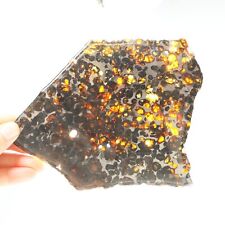 143g Sericho meteorite pallastie meteorite slice from Kenya R1970 picture