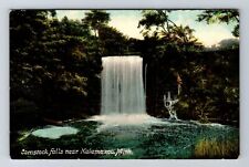 Kalamazoo MI-Michigan, Comstock Falls, Antique Vintage Postcard picture