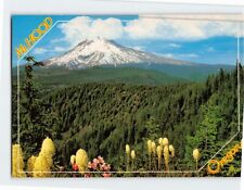 Postcard Mt. Hood with bear grass and rhododendron in bloom Oregon USA picture
