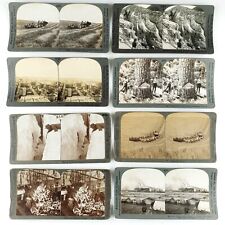 Washington State Stereoview Lot of 8 Stereoscopic Farm Photo Starter Set C1802 picture