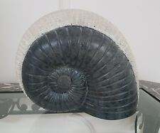 Sarreid Ltd Large NAUTILUS Shell signed BILLY MOON Sculpture Statue Pottery  picture