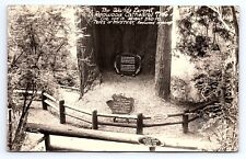 RPPC Real Photo World's Largest Redwood Cathedral Tree California CA picture