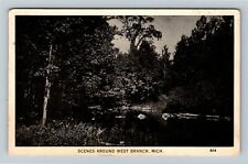 West Branch, MI-Michigan, Scenic Greeting, Water, Trees, c1934 Vintage Postcard picture