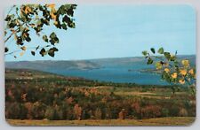 Hammondsport New York, Lake Keuka Autumn Colors Scenic View, Vintage Postcard picture