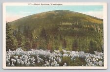 Postcard Mount Spokane Washington picture