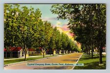 Gunter Field AL-Alabama, Company Street Vintage Souvenir Postcard picture
