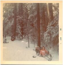 Group of Girls Sledding in the Snowy Woods Winter 1968 Vintage Found Photo picture
