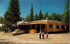 MT Eddys Cafe Standard Gas Station Pump Apgar Village 1940s Auto postcard P25 picture