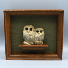 Owl Diorama Wall Hanging Vintage Brothers Two Rib Lake Wisconsin picture