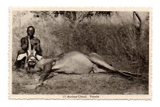 CENTRAL AFRICAN REP, AFRICA ~ MAN POSING WITH A FEMALE CHEVAL ANTELOPE 1920s picture