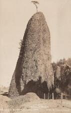 Vintage RPPC Needle Rock Columbia River Hwy Oregon Real Photo Postcard picture