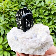 2.84LB Natural black tourmaline and quartzite symbiotic mineral specimen picture