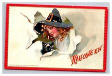 Postcard Halloween Tuck's # 174 Woman Witch with Black Cat picture