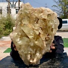 25.3LB Natural Citrine cluster mineral specimen quartz crystal healing picture