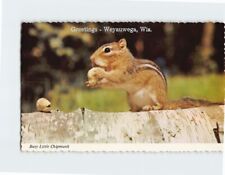 Postcard Busy Little Chipmunk Greetings Weyauwega Wisconsin USA picture