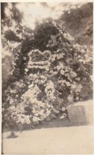 HONG KONG, GRAVE STONE (Unclear Name) - Vintage 4.25 x 2.5 Inch PHOTO (c1930s) picture