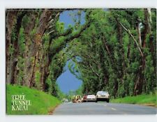 Postcard Tree Tunnel Kauai Koloa Hawaii USA picture