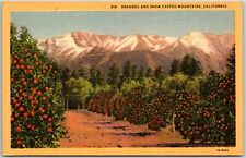 Los Angeles California CA, Oranges, Snow-Capped Mountains, Vintage Postcard picture