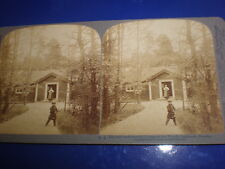 Old Stereoview photograph cottage in woods Smaland Sweden by Underwood 1898 picture