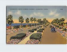 Postcard Clearwater's Famous Flowered Causeway Clearwater Florida USA picture