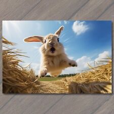 POSTCARD Energetic Bunny Rabbit Soars Through Meadow Running picture