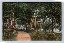 Fremont IN-Indiana, One Of Drives Scenic View Clear Lake Resort Vintage Postcard picture