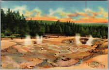 1939 YELLOWSTONE NATIONAL PARK Postcard 