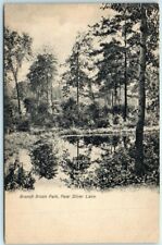 Postcard - Branch Brook Park, Near Silver Lake picture