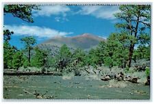 Sunset Crater National Monument Mountain Scene Flagstaff Arizona AZ Postcard picture