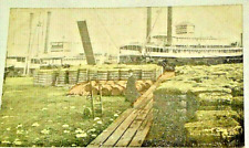 COTTON WHARF 1920 Postcard New Orleans La  picture