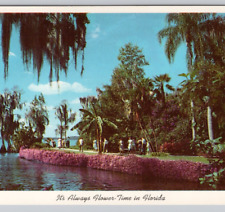 Flower-time Lakeland FL America’s Tropical Wonderland 1959 Unposted picture