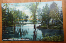 Leisen & Henes Park, Menominee MICH postcard p/u 1908 picture