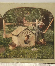 Vintage Kids Playing In Doghouse Color Stereoscope Card Stereoview picture