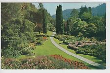 Postcard Sunken Butchart Gardens Victoria B.C. Canada Pyramital Arborvitae 4c picture