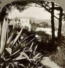 Keystone Stereoview a Villa near Algeriers, Algeria Rare 1200 Card Set #514 T2 picture