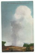 Yellowstone National Park Old Faithful Geyser Old Postcard  picture