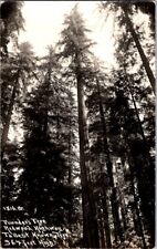 Vintage RPPC Postcard Founder's Tree Redwood Highway CA California 1938   K-210 picture