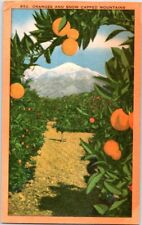 Vintage Postcard Oranges & Snow Capped Mountains in California picture