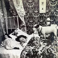 Antique 1899 Small Dog Wakes Sleeping Child Stereoview Photo Card P2294 picture
