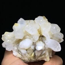 225g Museum Quality Transparent White Quartz Crystal Cluster Mineral Specimen picture