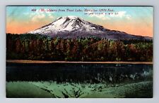 Trout Lake WA-Washington, Mt Adams, Antique Vintage Postcard picture