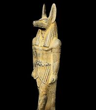 Rare Doctor Anubis as a jackal Dog - god of mummification picture