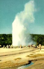 Union Oil Company Old Faithful Yellowstone National Park Wyoming Postcard picture
