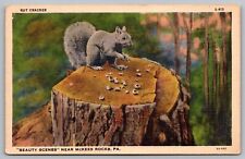 Nut Cracker Beauty Scene McKees Rocks PA Pennsylvania Linen Postcard UNP VTG picture
