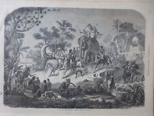 1857 I INDIA RAJAH BENGAL CORTEX DRAWING M. BERARD picture