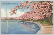 Washington DC, Washington Monument & Cherry Blossoms, Vintage Postcard picture