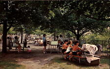 New London Connecticut Ocean Beach Park picnic area unused vintage postcard picture