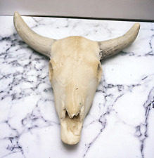 Vintage Ceramic Bull Cow Skull Figurine Sculpture Decor White 3 in. picture