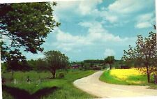 Vintage Postcard- A Picturesque Road that leads to Honeoye Lake, Honeoye, NY. picture